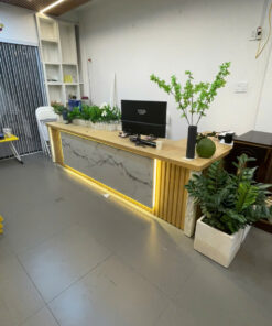 Mẫu Bàn Làm Việc Giám Đốc/Văn Phòng Luxury.